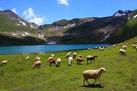 Dudipastar Lake Pakistan